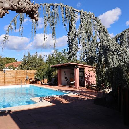 El Cedre Blau Vivienda Con Piscina En Granollers Villa Eksteriør billede
